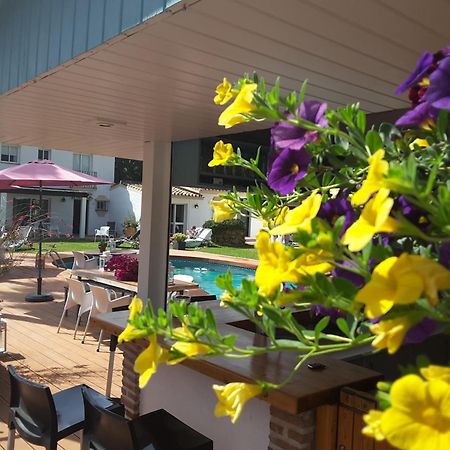 מארבלה Banus Lodge מראה חיצוני תמונה