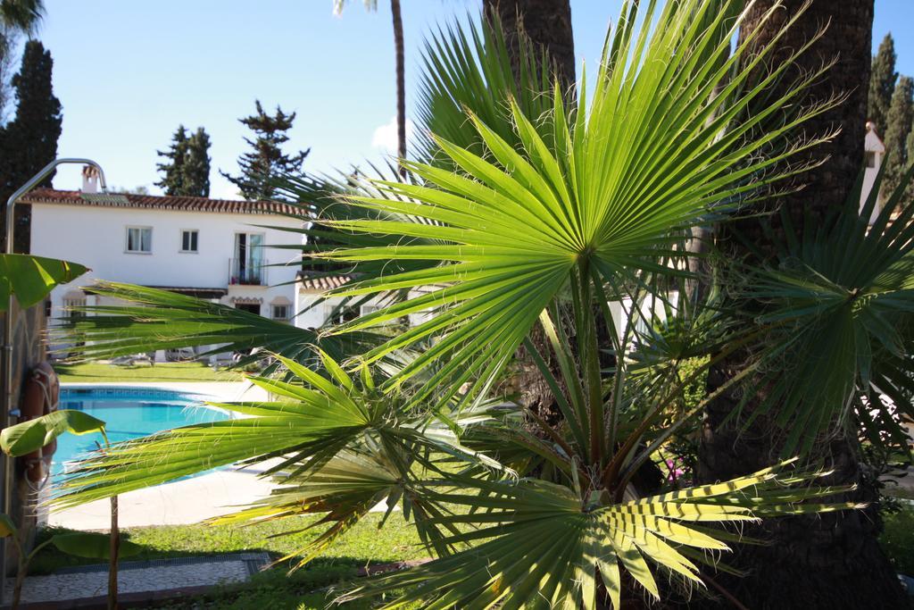 מארבלה Banus Lodge מראה חיצוני תמונה