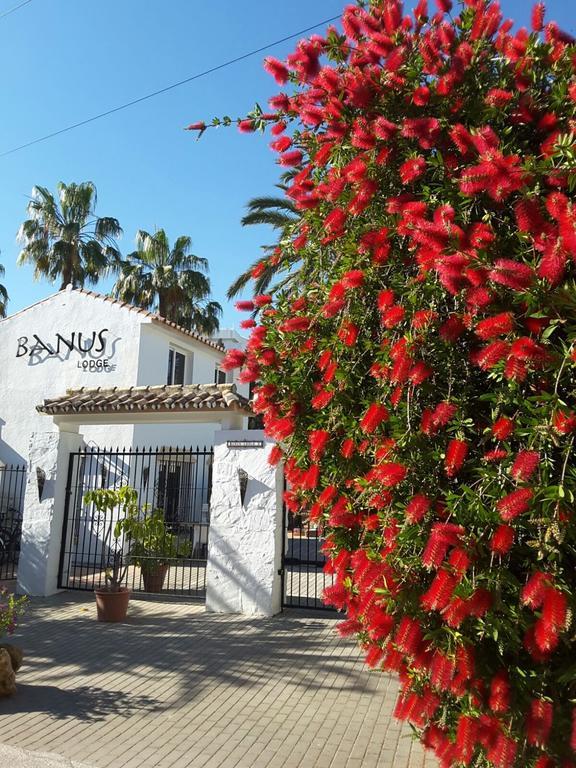 מארבלה Banus Lodge מראה חיצוני תמונה
